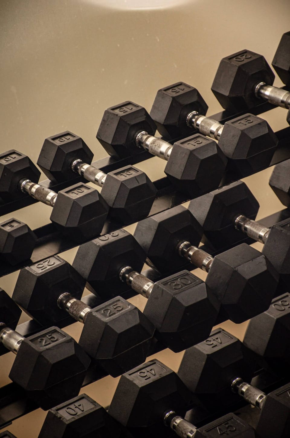 Quality equipment to exercise body and mind