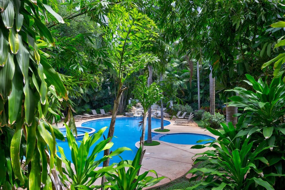 Large pool with a jacuzzi surrounded by tropical garden.