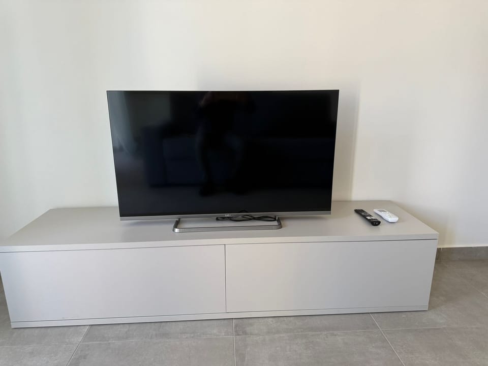 Television