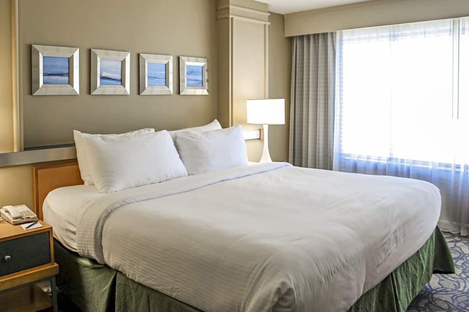 Unwind in a sunlit king bed after busy days.