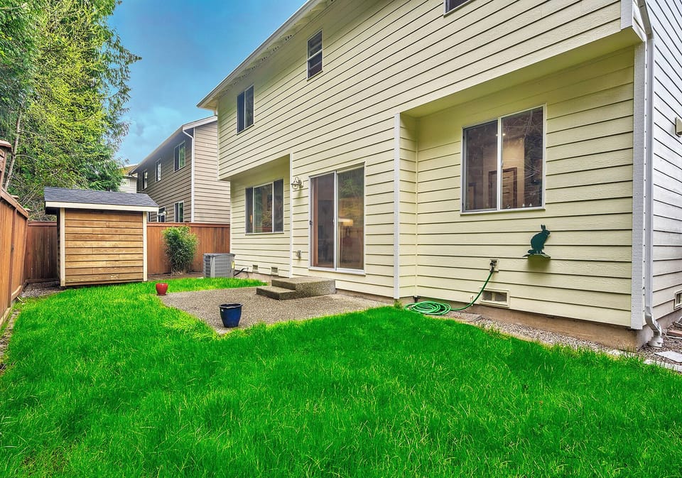 Back yard