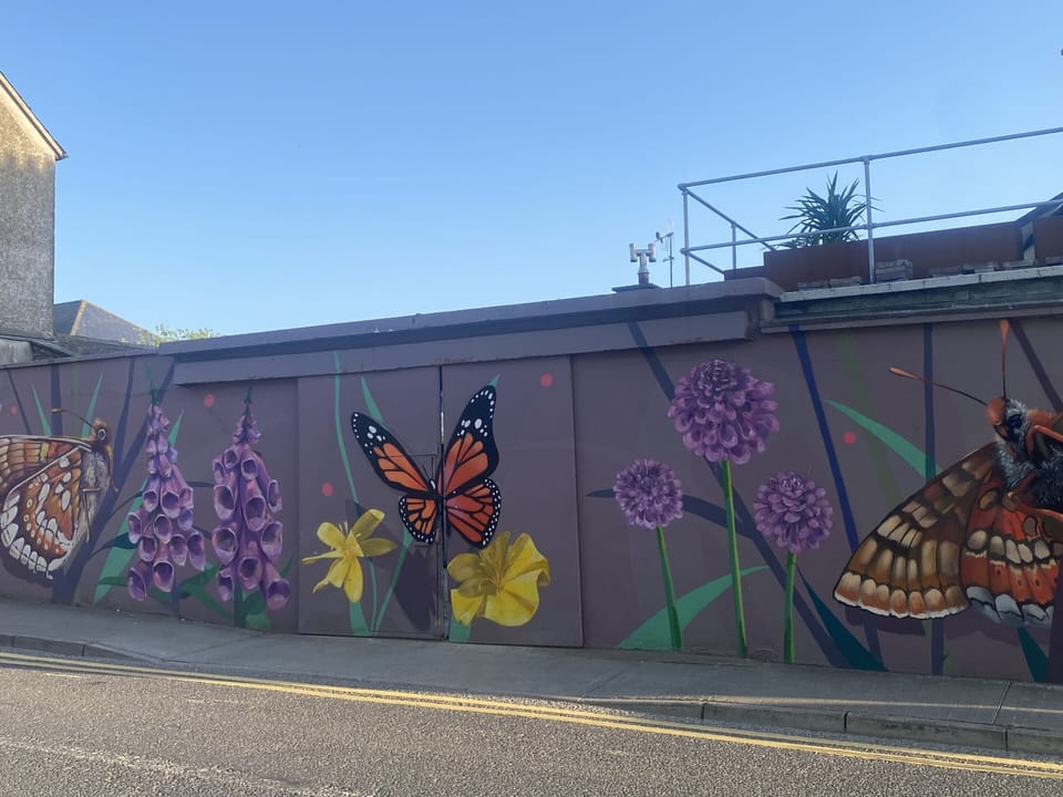Mural of Marsh Fritillary Butterfly and native wild flowers