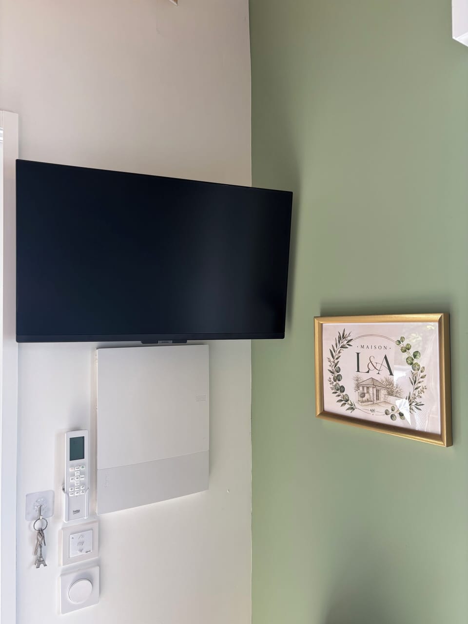 Television