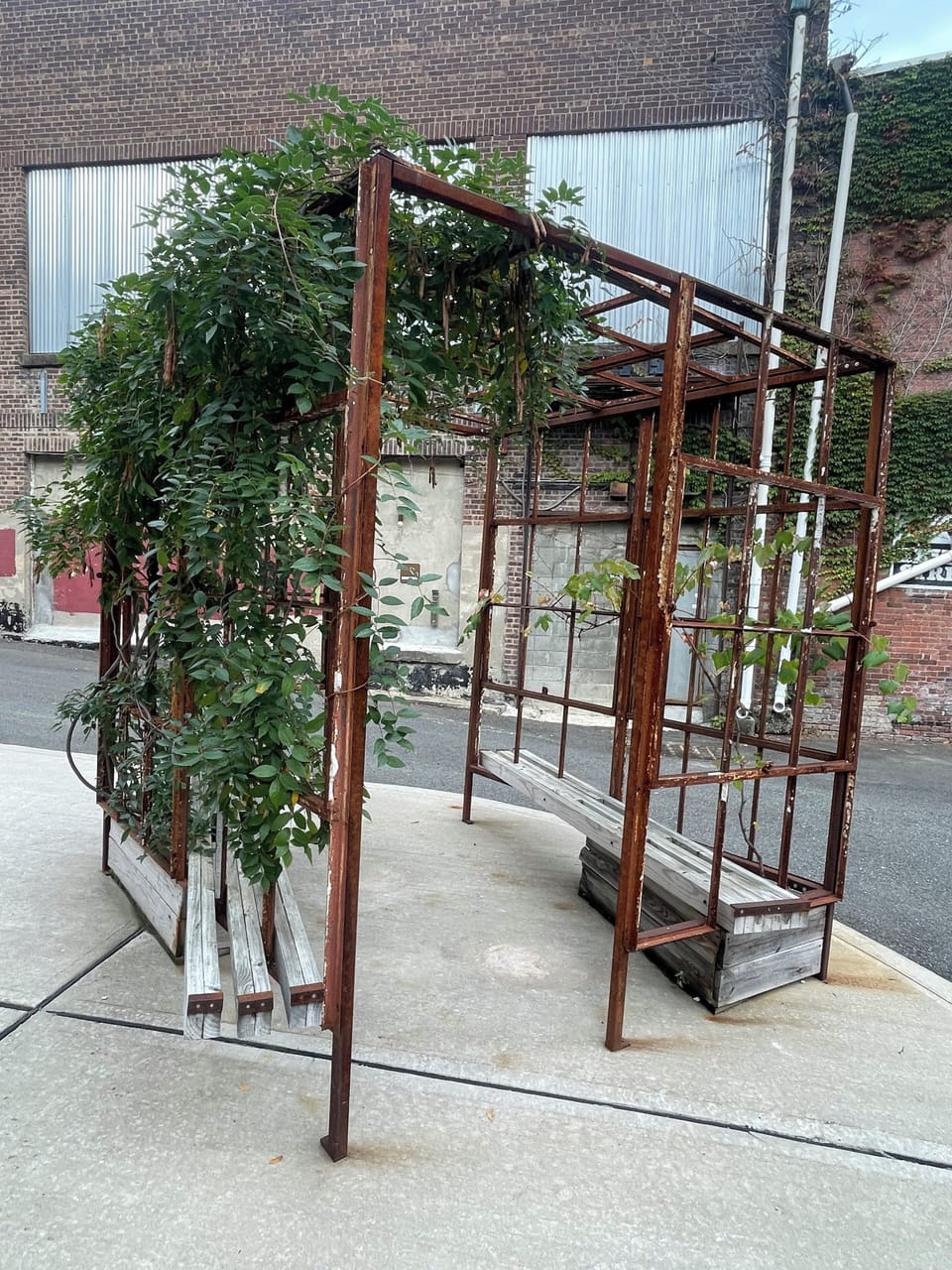 local artist on washington street 