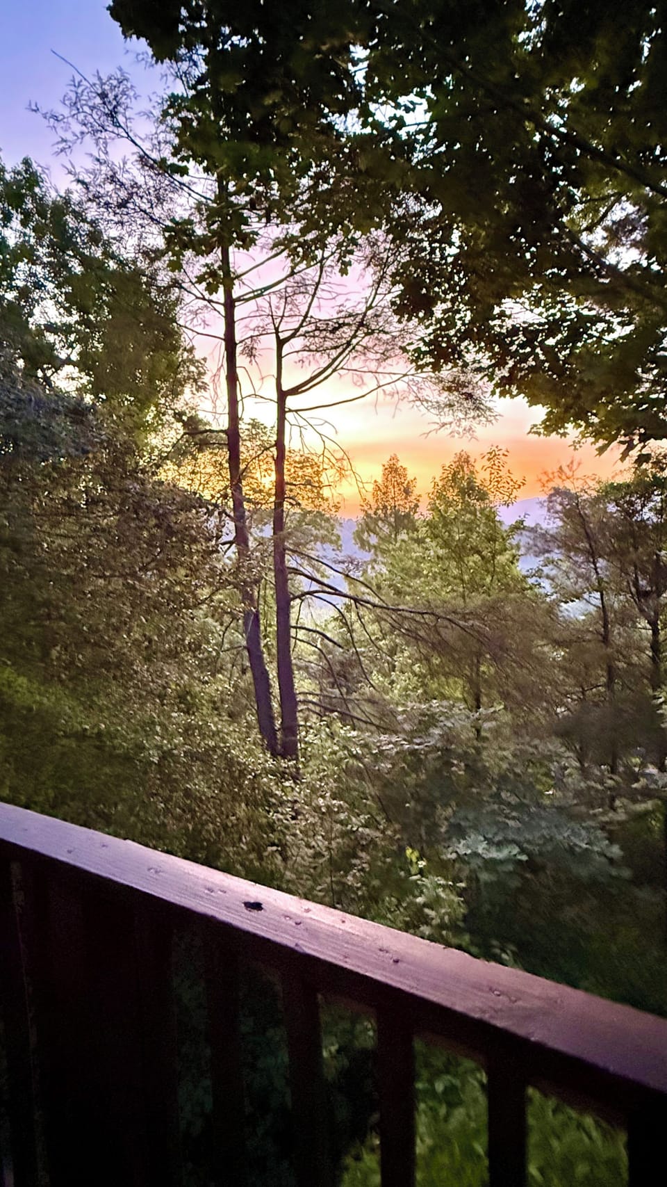 View from deck in spring/summer