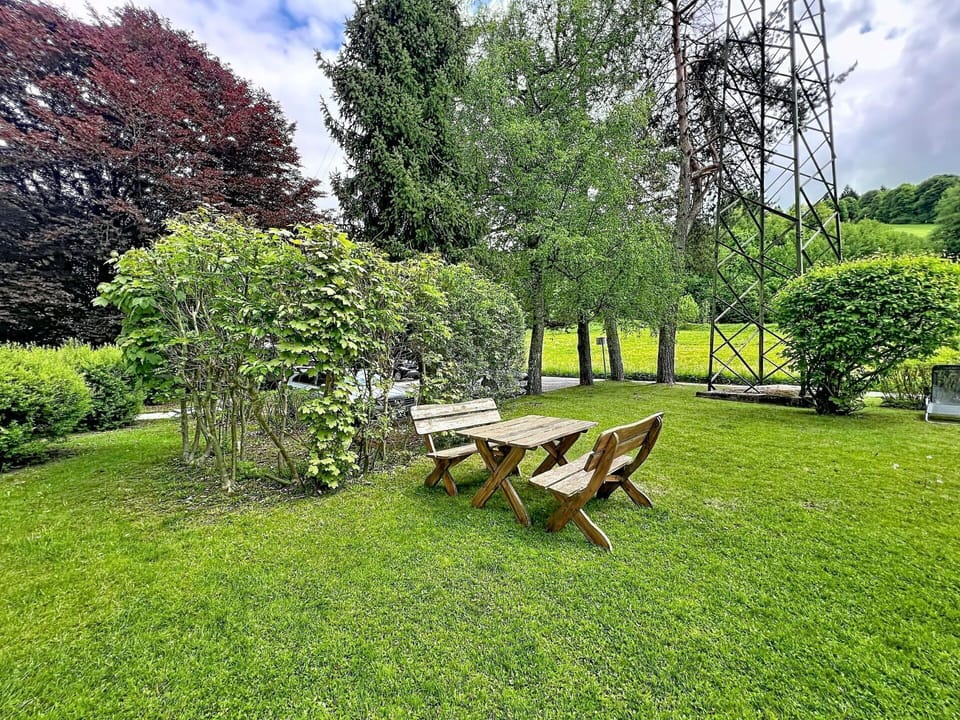 Grass, Green, Leaf, Vegetation, Shrub, Garden, Lawn, Land Lot, Shade, Groundcover