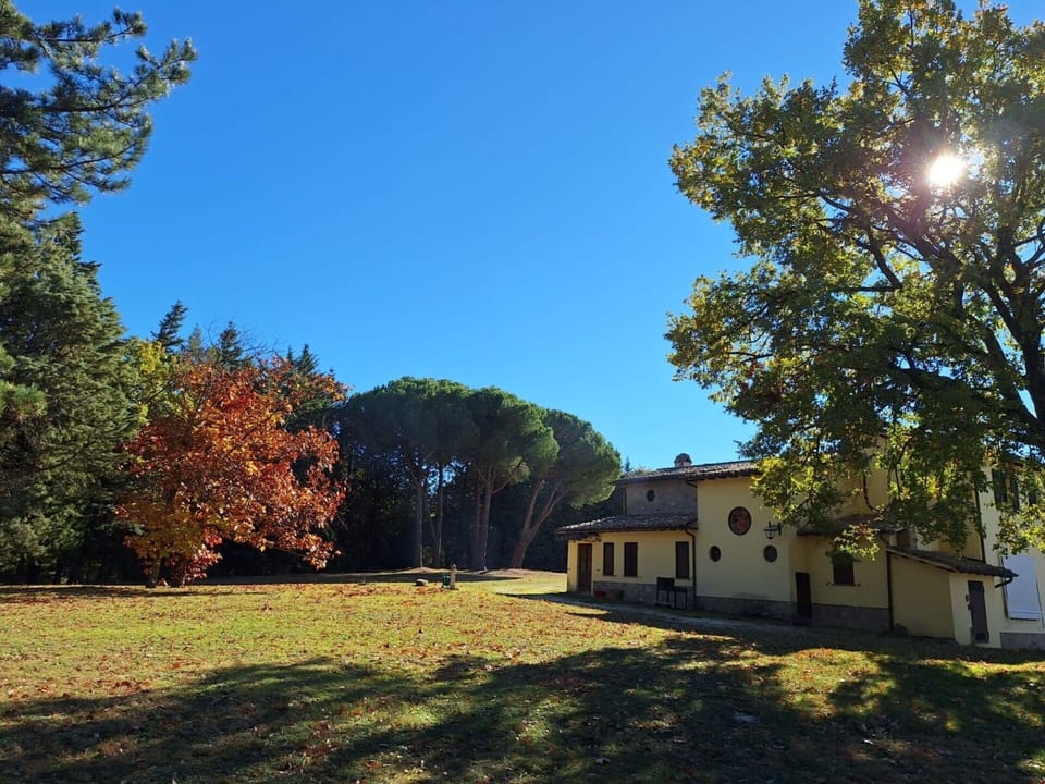 Tree, Grass, Leaf, Branch, House, Home, Plain, Land Lot, Lawn, Trunk