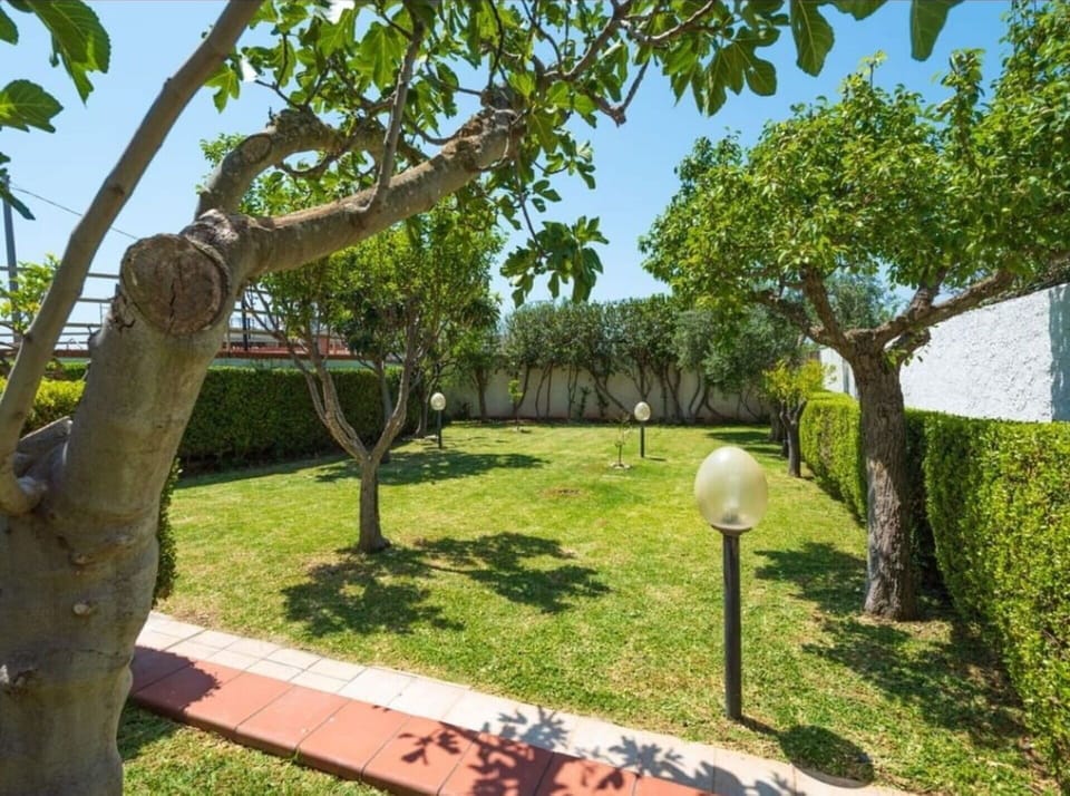Autumn, Garden, Spring, Summer