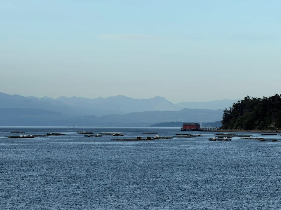 view of Penn Cove mussel farm