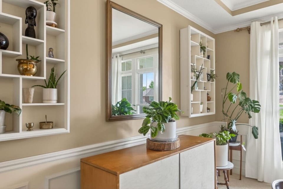 Stylish shelving with indoor plants that bring warmth and greenery to the home.