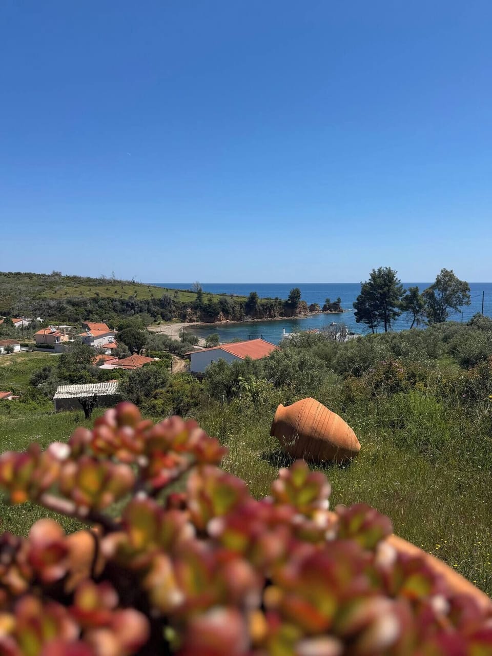 View from property