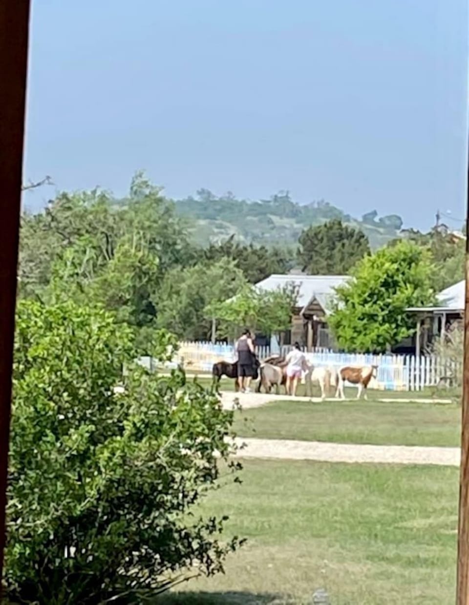 View from property