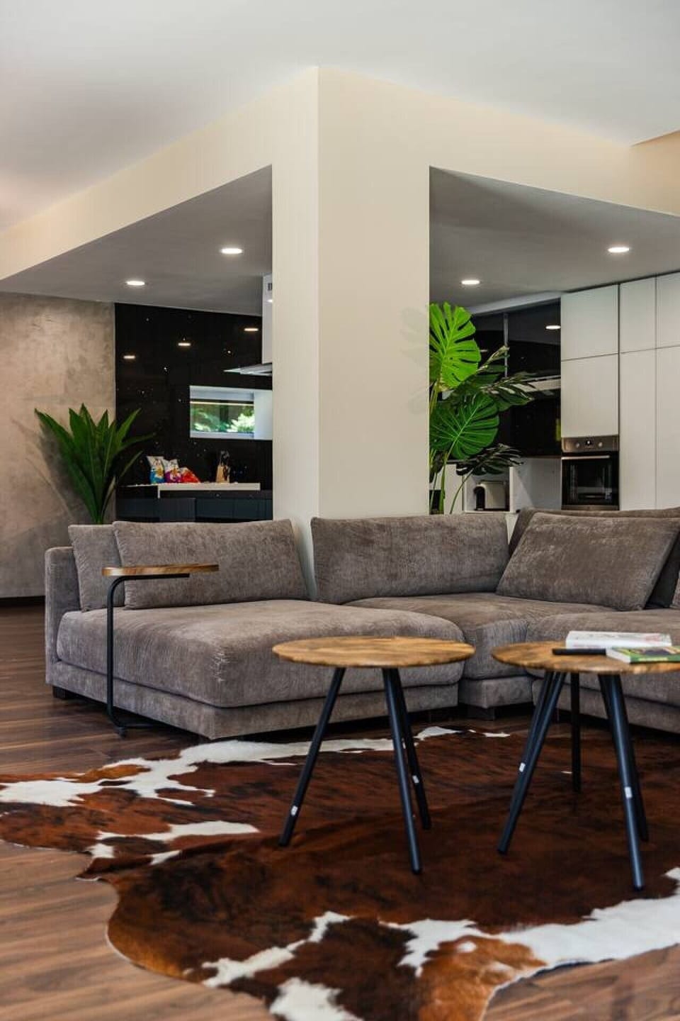 Living room details