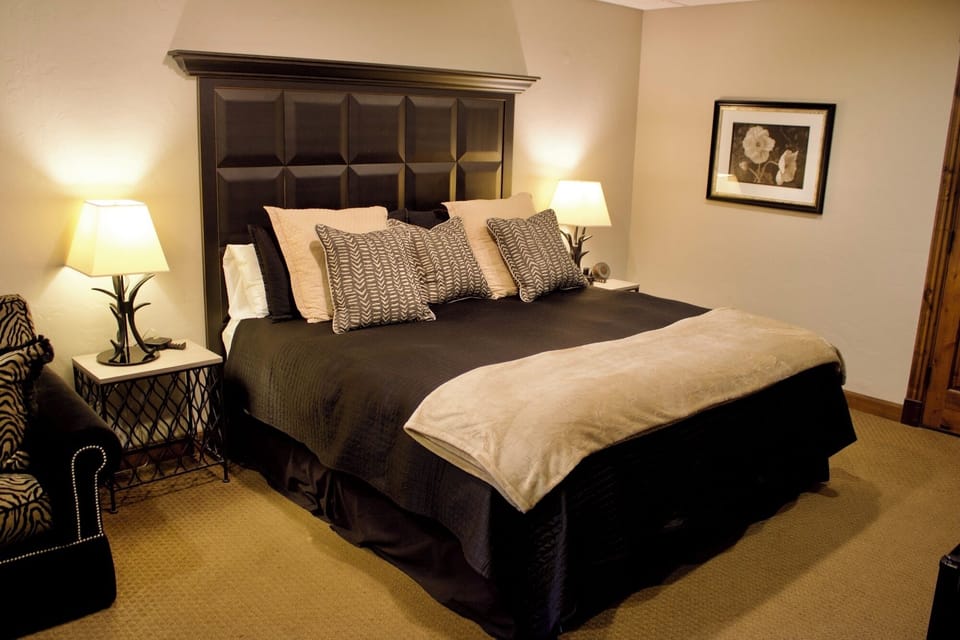 Onyx20Suite8