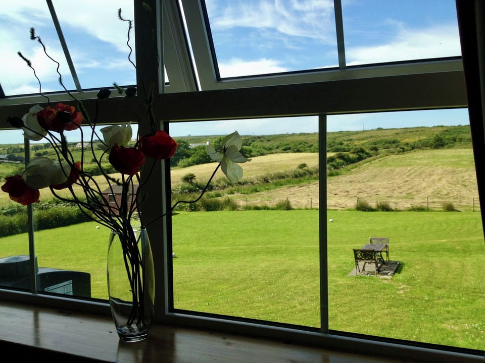 View from kitchen window 