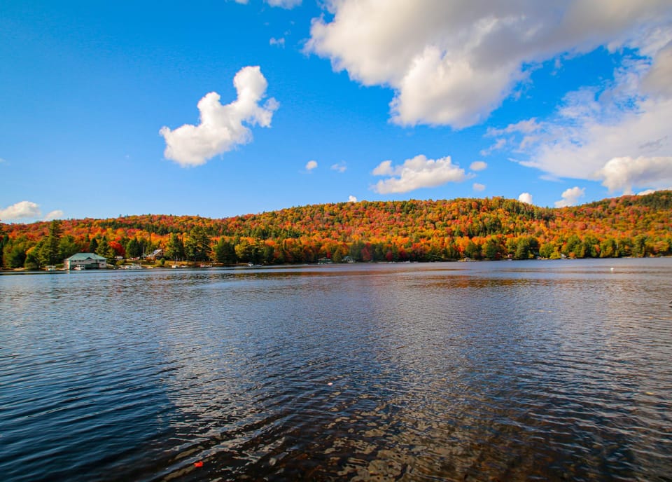 Fall Foilage