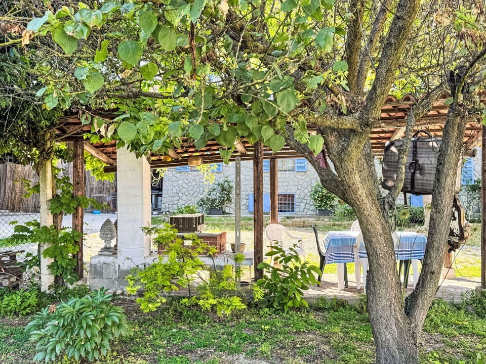 Leaf, Shade, Garden, Spring, Woody Plant, Sunlight, Backyard, Pergola, Yard, Outdoor Structure