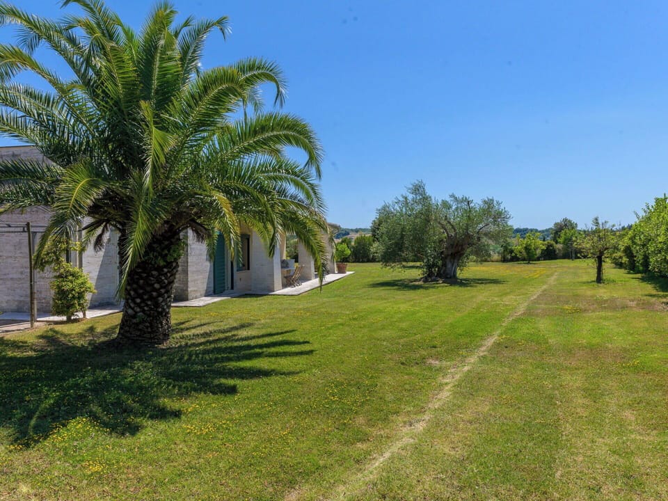 Shrub, Garden, Woody Plant, Lawn, Landscaping, Estate, Driveway, Hacienda, Shade