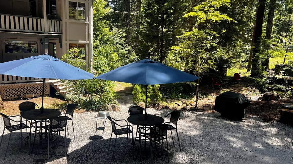 Shaded forest patio with outdoor dining and relaxing retreat vibes