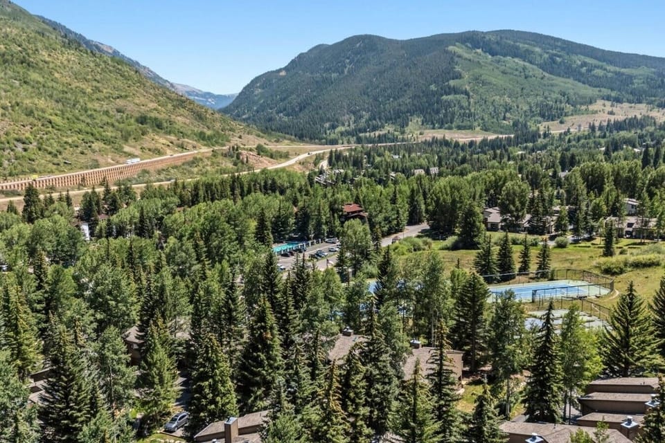 A peaceful setting nestled within a lush evergreen forest