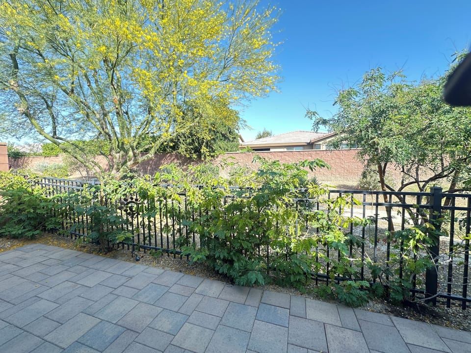 Rear patio faces open space and walking trail - so peaceful!