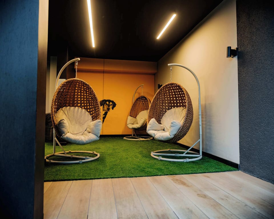 Relax in style with hanging chairs in this cozy lounge area, perfect for unwinding after a day of exploring.
