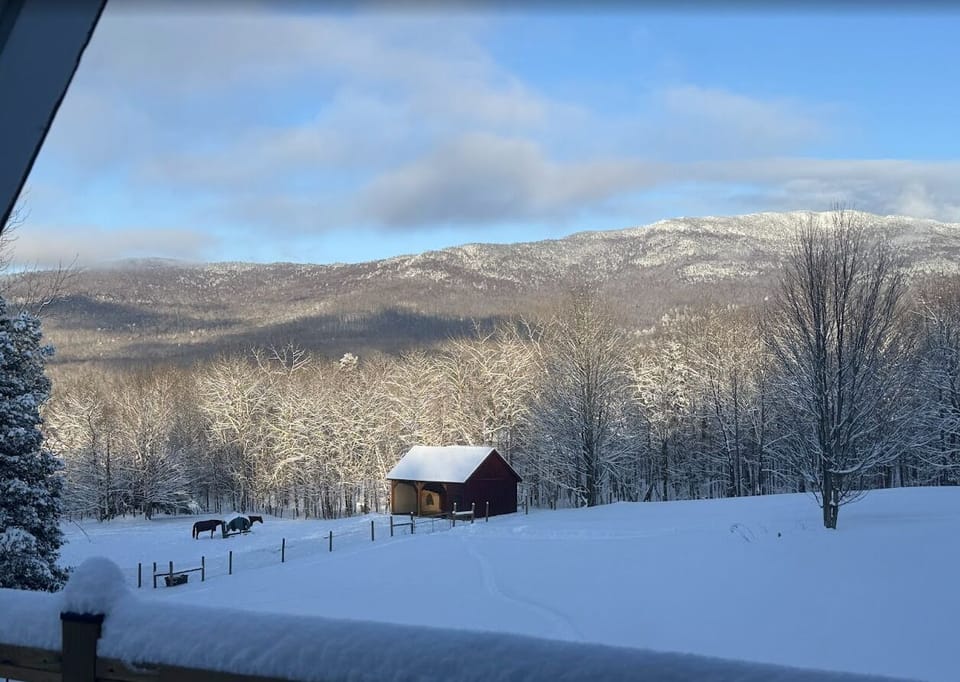 View from property