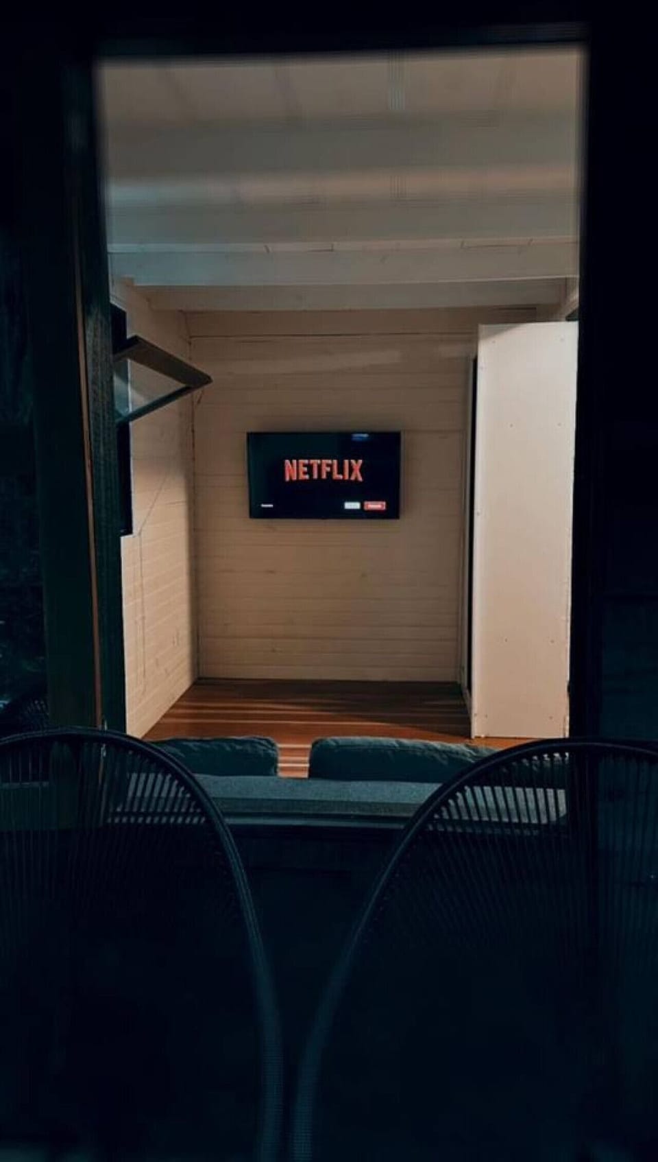 Television