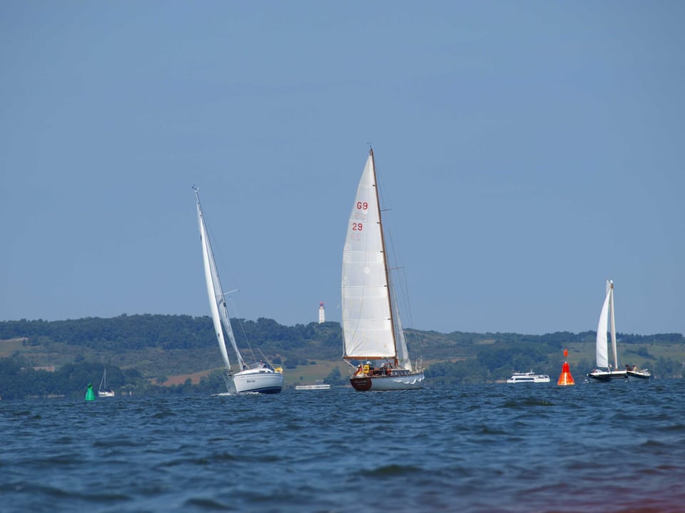 Miscellaneous