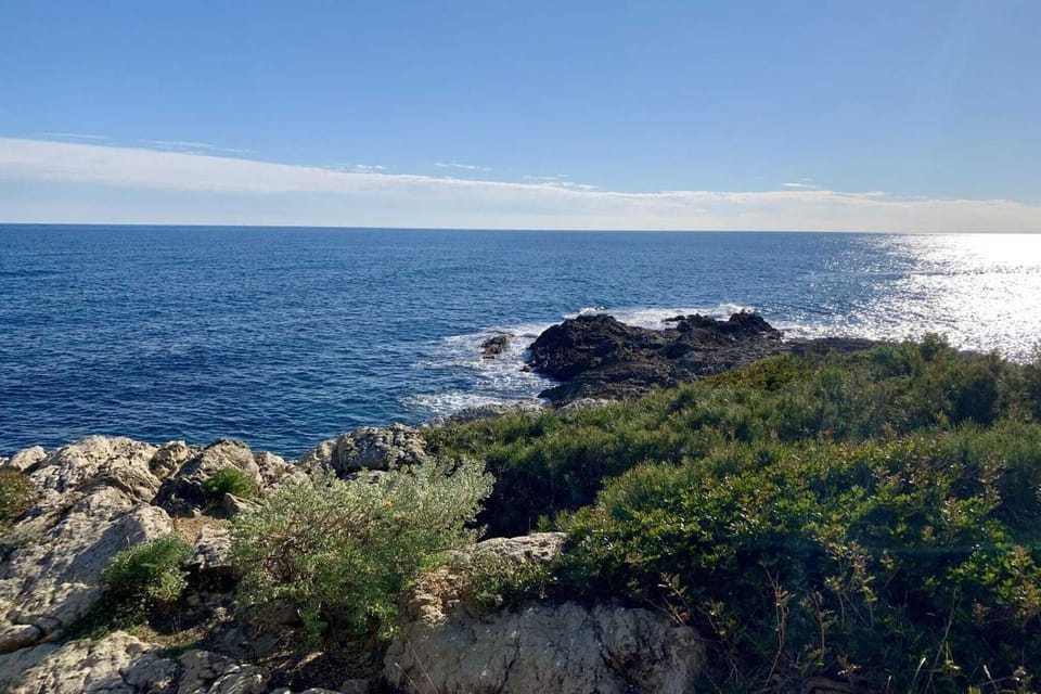Surroundings [summer] (1-5 km)