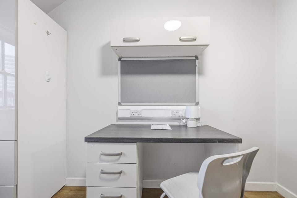 Study Area