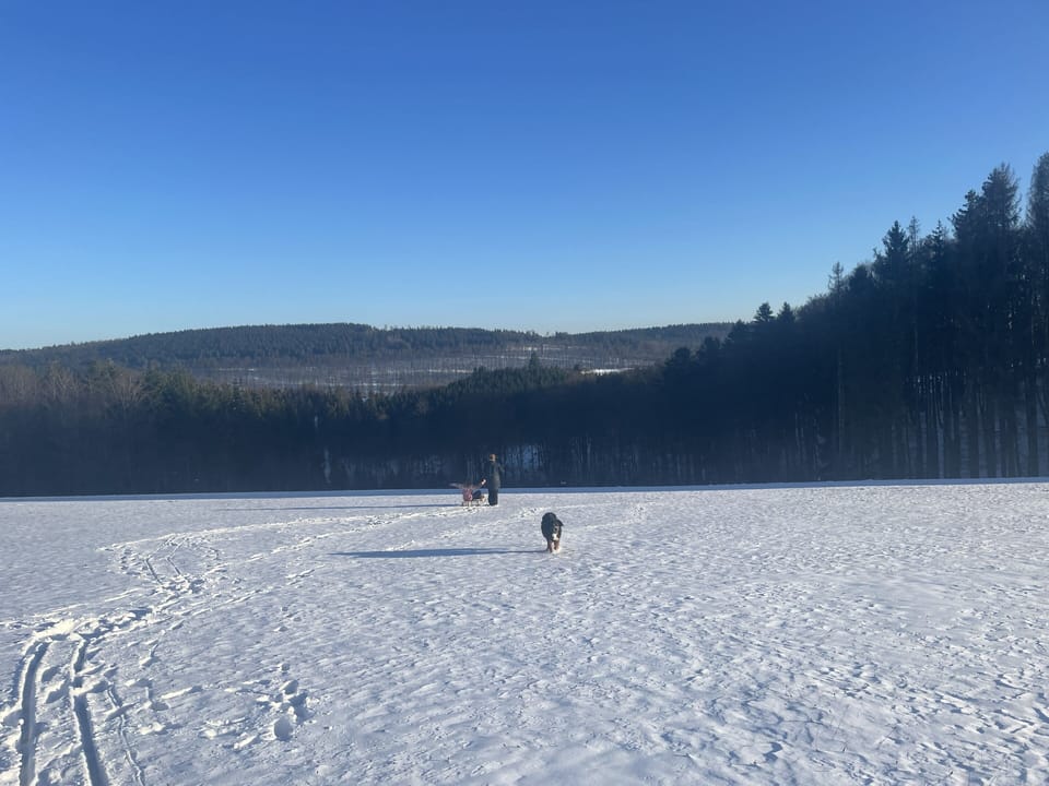 Snow and ski sports