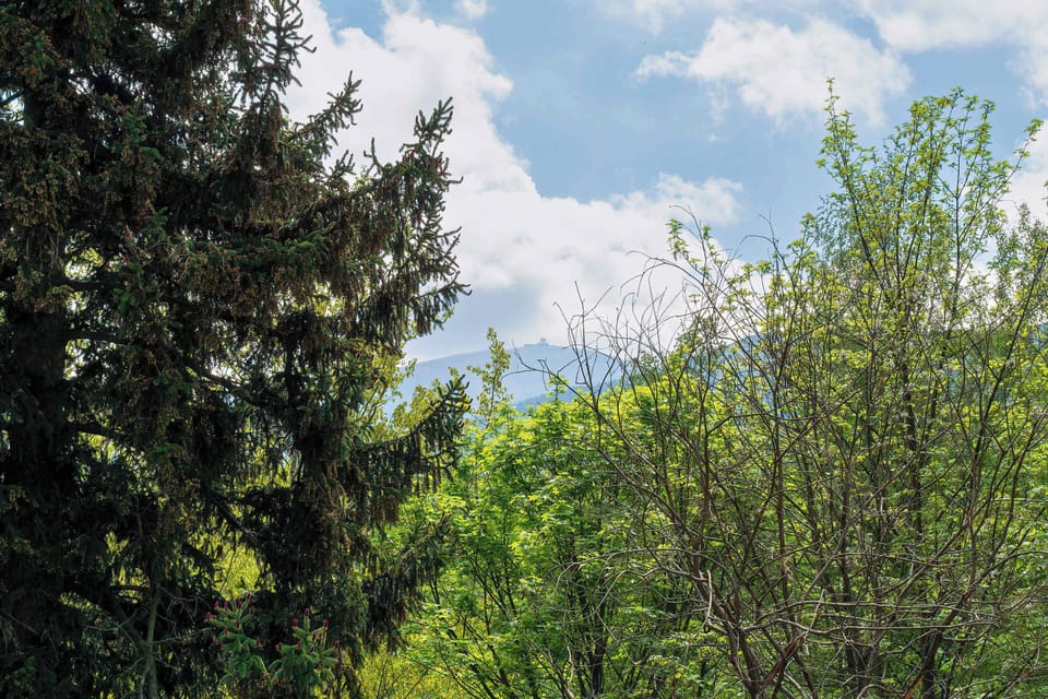 Enjoy easy access to the city's attractions from this well-located building.