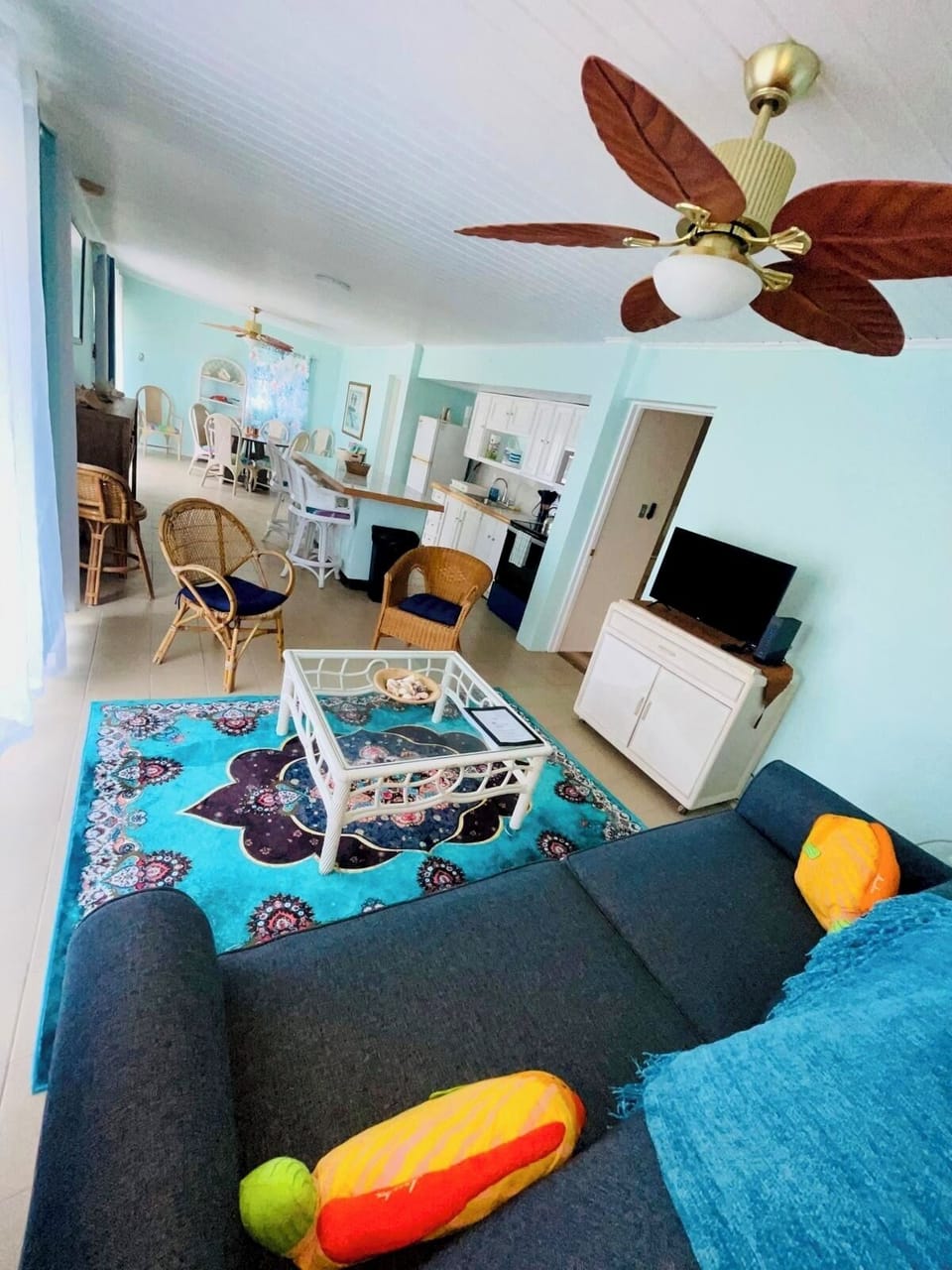 Living area with pull-out sofa bed and television.