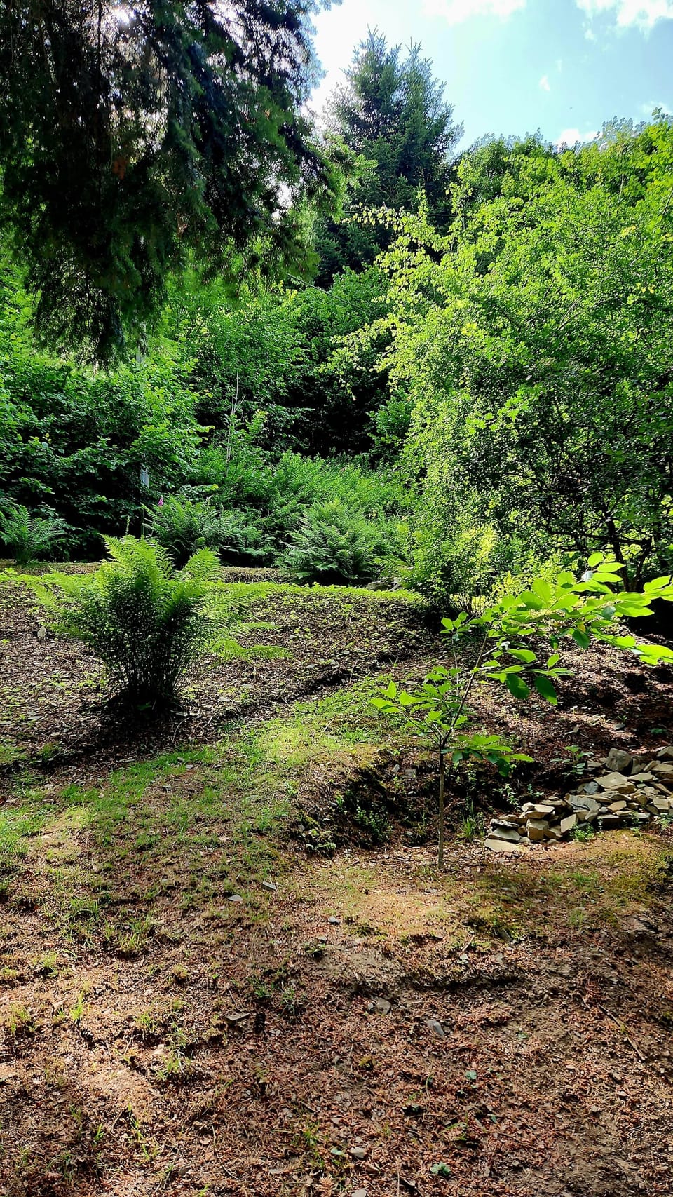 Garden 2
