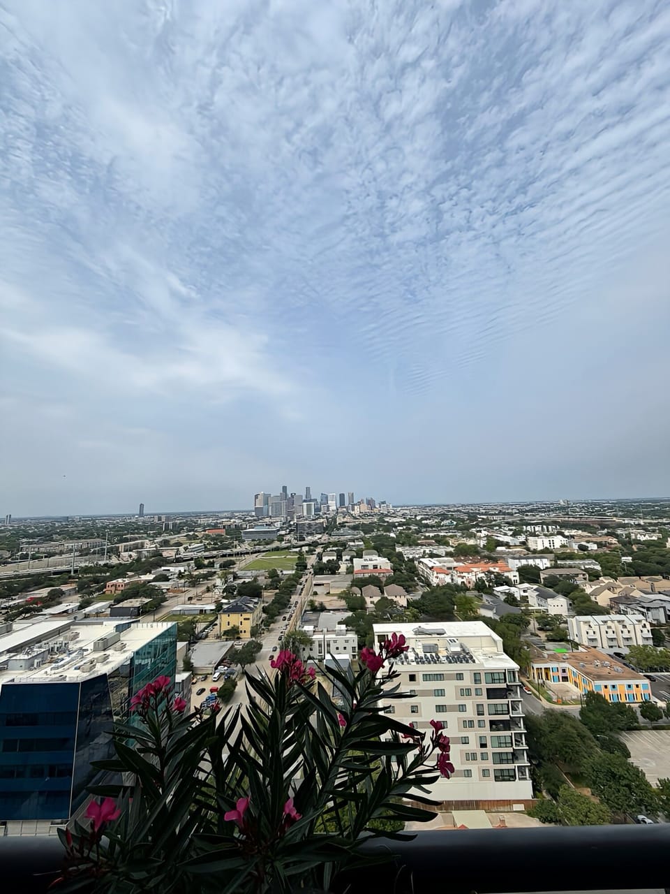 View from property