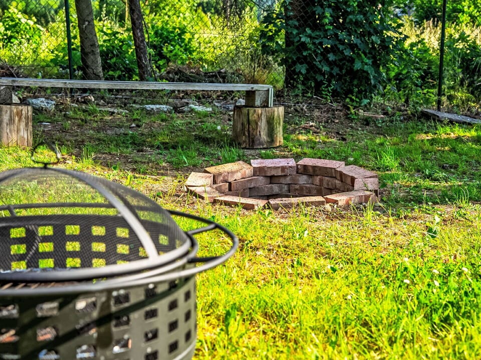 Garden, Trunk, Backyard, Lawn, Woodland, Park, Yard, Landscaping, Outdoor Furniture