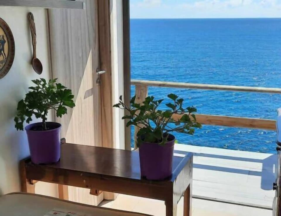 A quiet corner decorated with plants