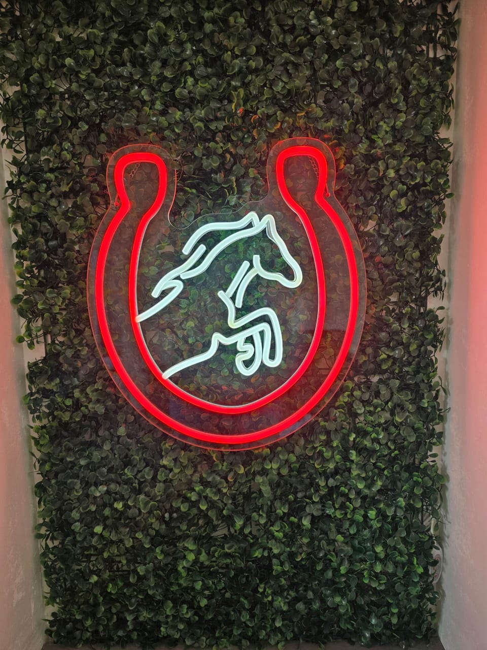 20260803 125852