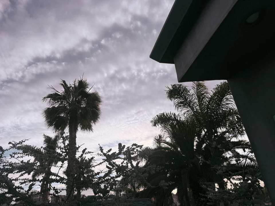 Miscellaneous