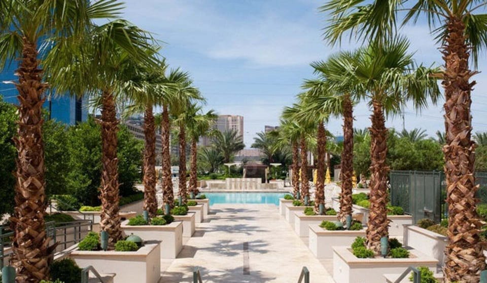 MGM Signature Pool