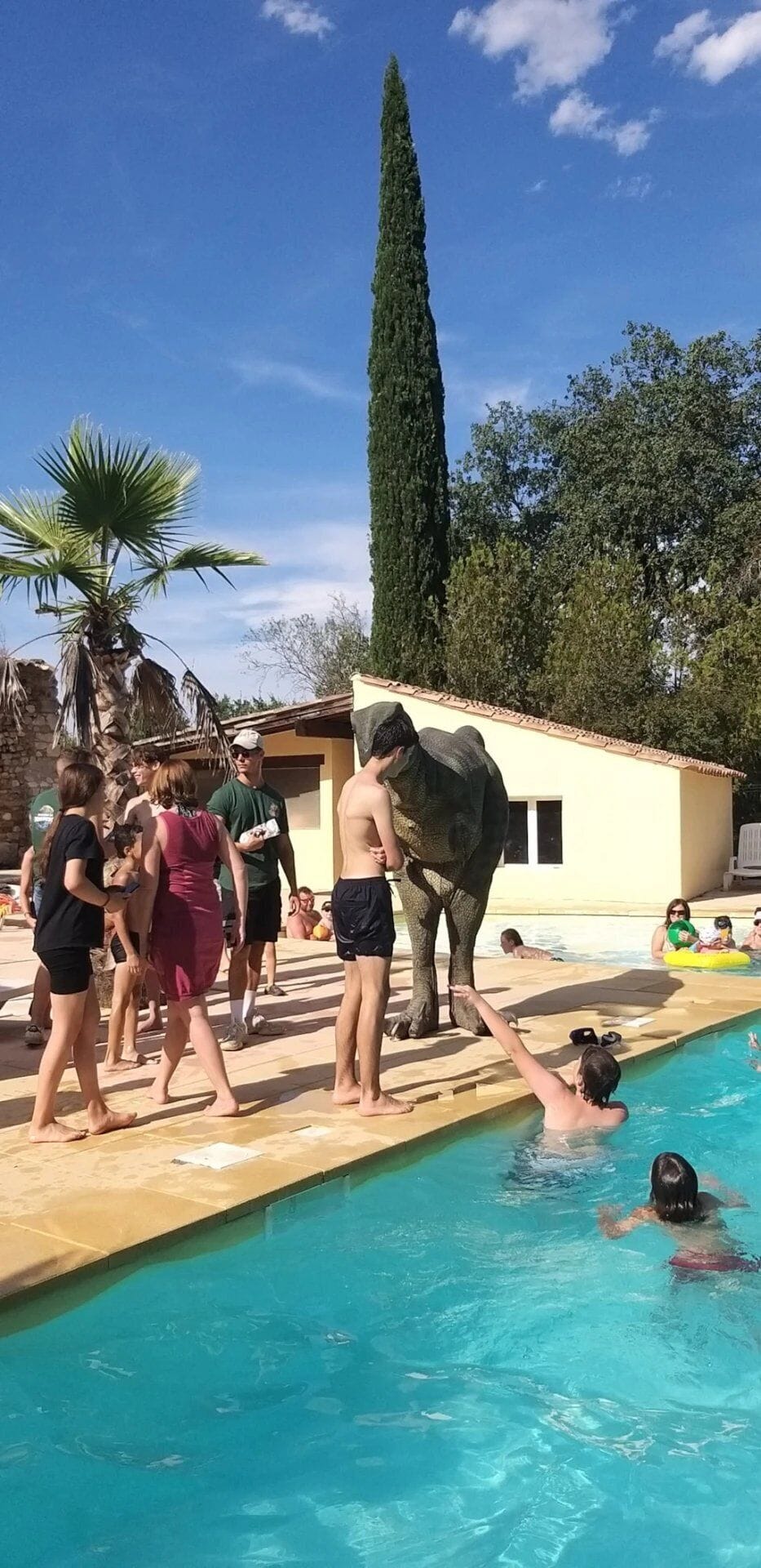 Pool