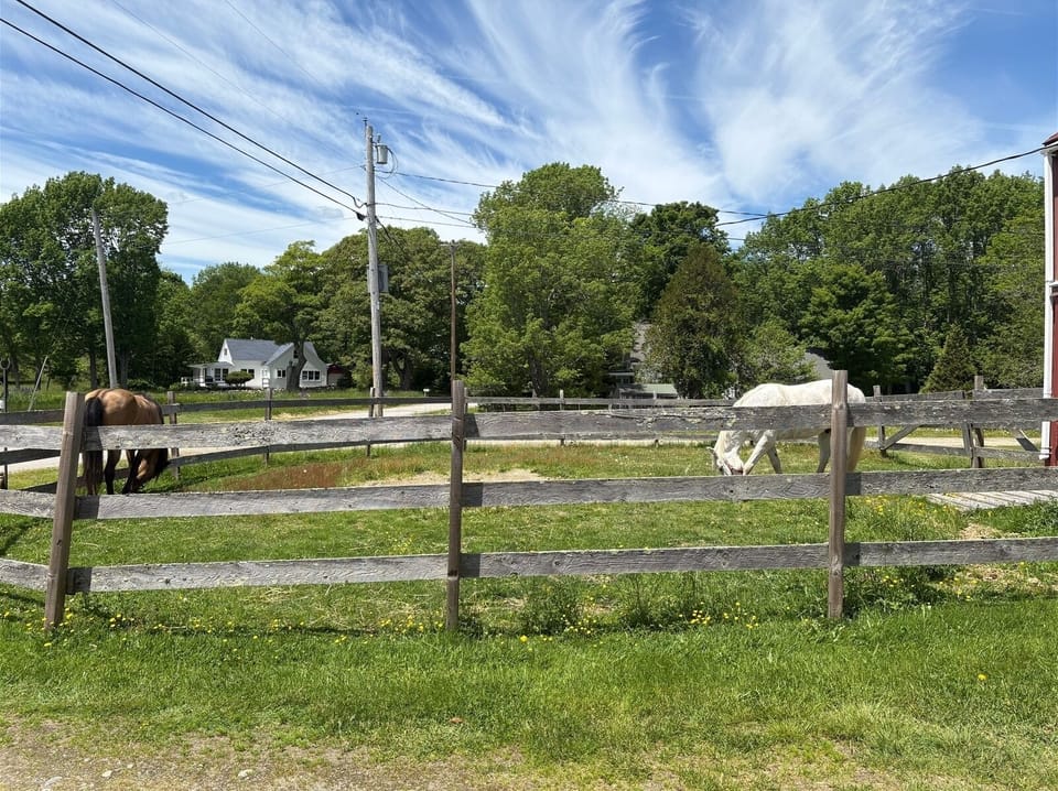 Healing Horses by front door