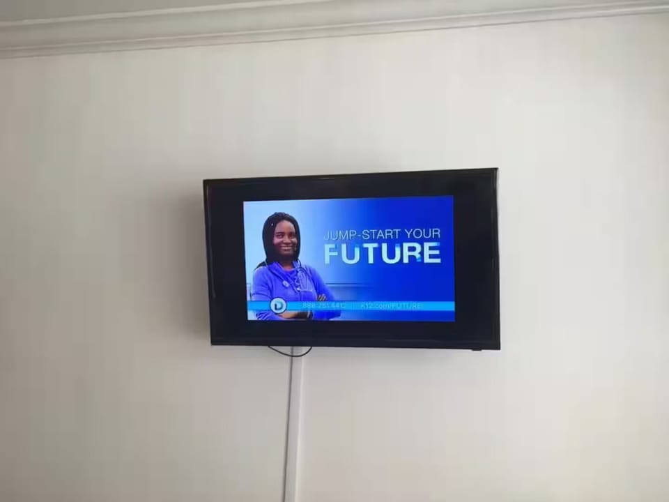 Television