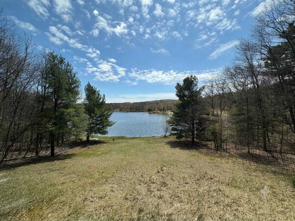 Buchanan Lake View