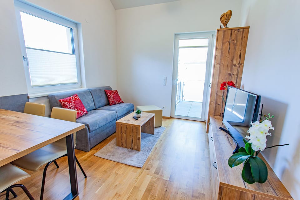 Living room, sofa bed and TV