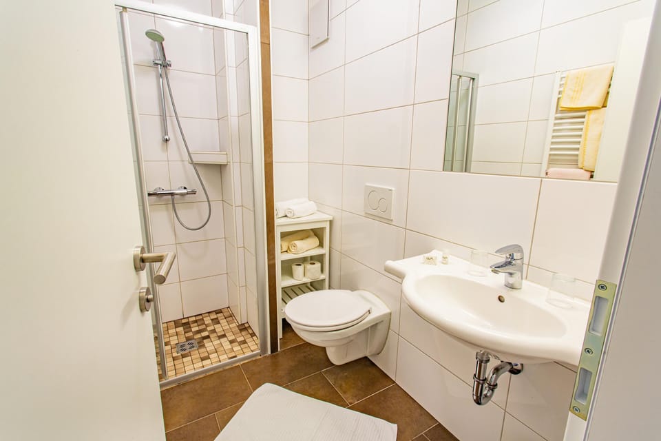 Bathroom shower and toilet