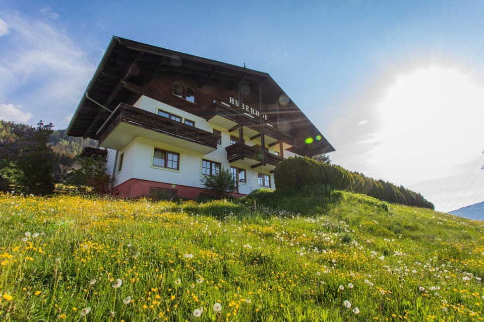 Main view of the building in summer
