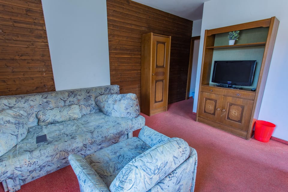 Living room, sofa bed and TV