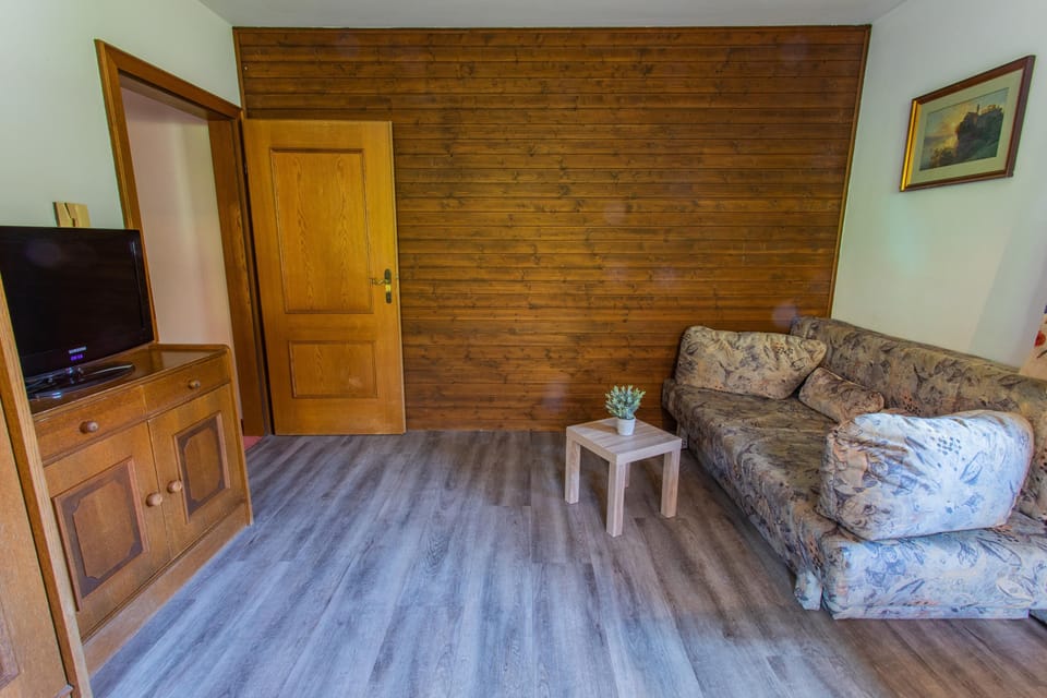 Living room, sofa bed and TV